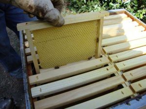Montage des cadres de ruche