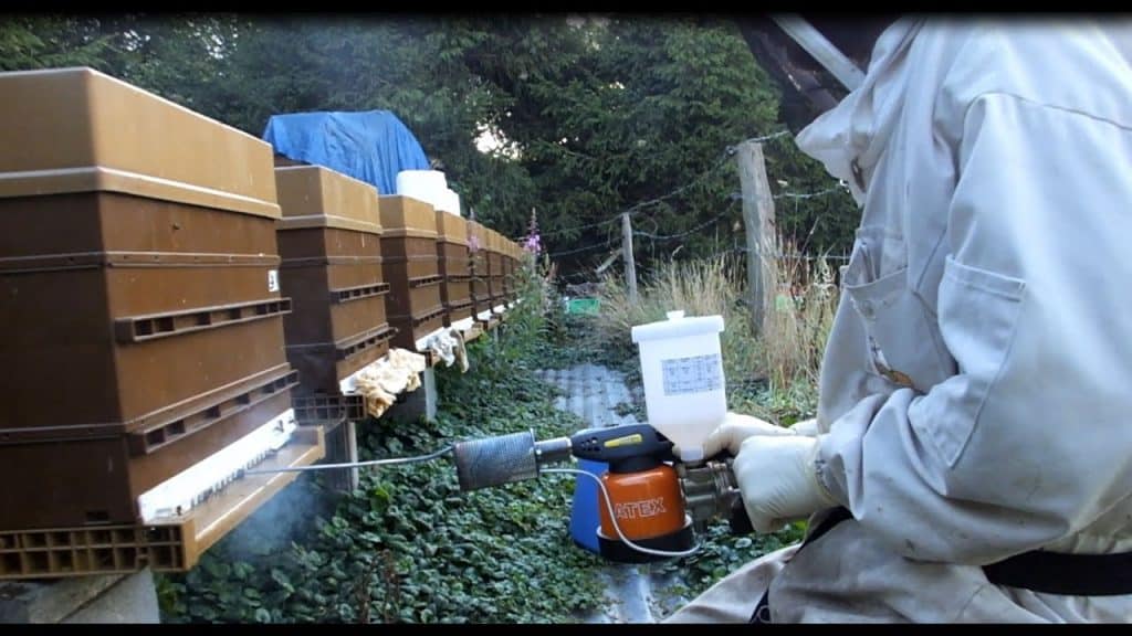 L'Acide Oxalique pour traiter les abeilles contre le varroa - Zapiculture